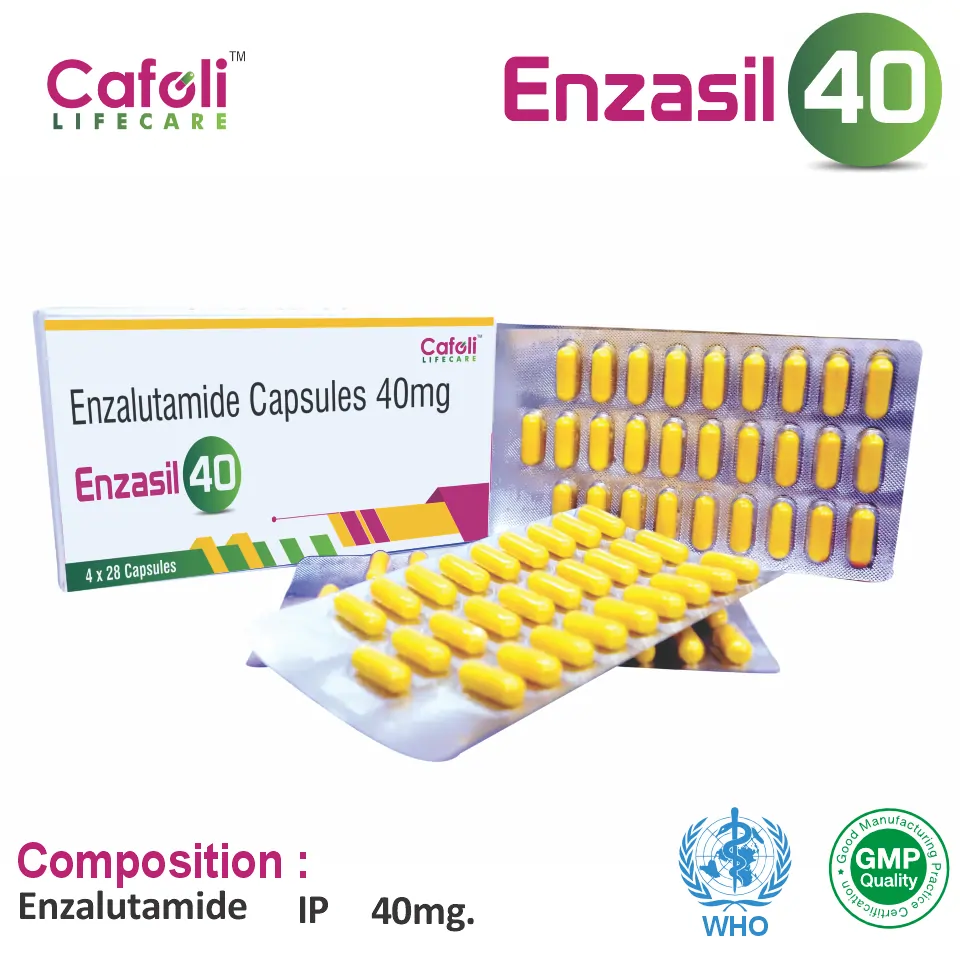 Enzasil 40 Capsule for PCD Pharma Franchise